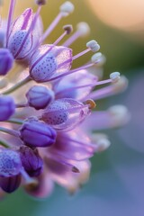 Poster - A close-up shot of a vibrant purple flower with a blurred background