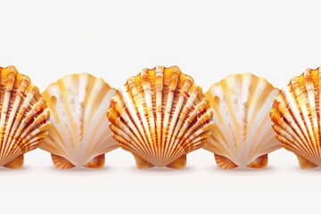 Poster - Row of seashells on a clean white surface, great for decoration or design
