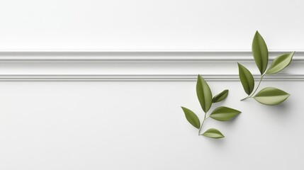 Wall Mural - A white background with two green leaves on it