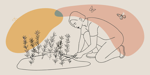 Poster - Focused on Freshness With a focused expression an individual kneels beside a patch of thyme using a small pair of scissors to snip off sprigs. The surrounding garden is alive with