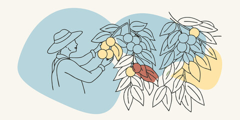 Poster - Natures Palette A serene image of a person in a straw hat to examine a of ripe fruits hidden behind leaves. The surrounding trees create a natural frame with shades of green and