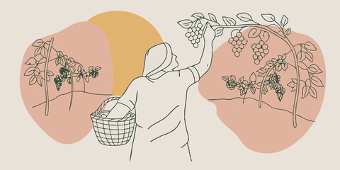 Poster - Natures Snack The person stands with their back to a clear blue sky a basket tucked under one arm. They look thrilled as they pluck juicy berries from a nearby vine the sun casting