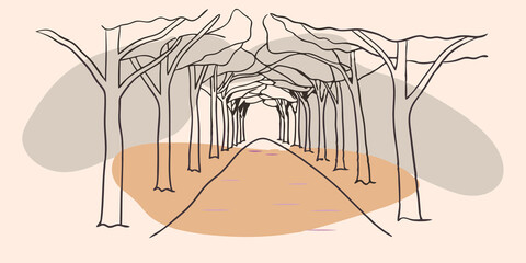 Poster - Winding Path A gentle meandering path stretches ahead covered in soft earthy soil and dotted with patches of vibrant green moss. Tall trees on either side create a natural archway