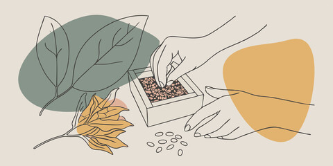 Poster - Choosing Leaves Delicate hands select vibrant fragrant tea leaves from a small wooden box. A variety of colors and texturesdried blossoms deep green leaf shards and rich brown