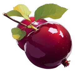 Poster - Juicy red plums with green leaves isolated on white background, showcasing their vibrant color and fresh appearance. Perfect for illustrating healthy eating and natural produce