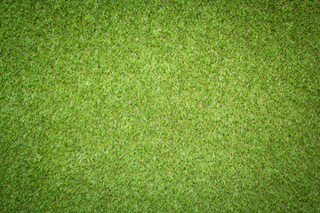 Canvas Print - green grass texture