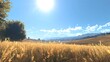 © Klong - Warm summer day in a meadow with a clear blue sky and the sun high above