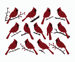 elegant cardinals silhouette collection with natural bird poses