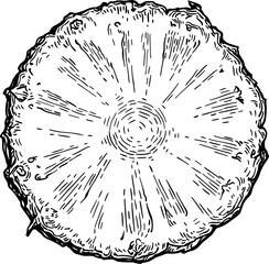 Canvas Print - pineapple cross-section ink sketch.