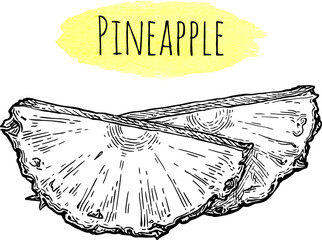 Canvas Print - pineapple wedges ink sketch.