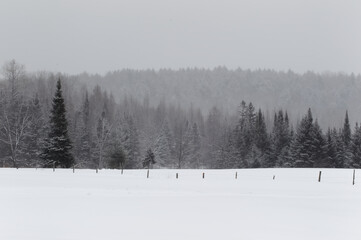 snow covered fields