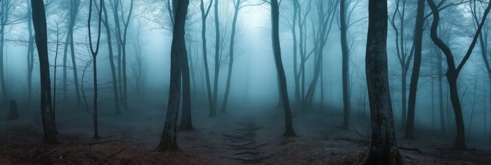 Wall Mural - A forest with foggy trees and a path. Scene is mysterious and eerie