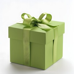 A light green gift box with a satin ribbon, perfect for any occasion.  A simple yet elegant present.