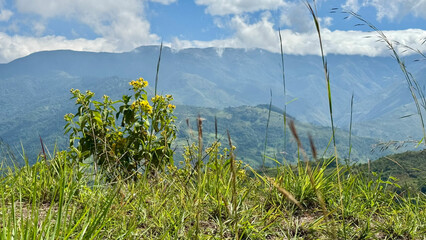 montañas con cielo azul, nubes y vegetación