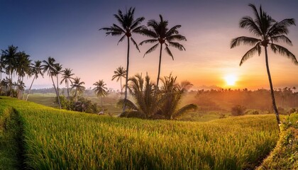 garden with coconut palm trees amazing sunrise landscape with green meadow bali indonesia wallpaper 