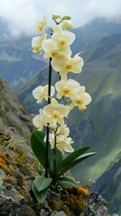 Wall Mural - A delicate orchid blooms against a backdrop of rolling hills. AI.