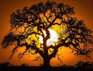 Wall Mural - A silhouette of a tree against a vibrant sunset. AI.