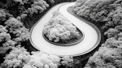 Poster - Winding road through lush forest creates a mesmerizing aerial view in black and white, AI