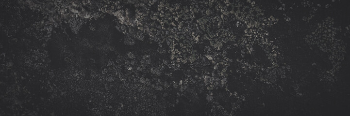 Wall Mural - Natural texture of a stone covered with lichen. Lichenes patterns on a rock surface. Natural background. Closeup top view. Faded dark wide panoramic background for design.