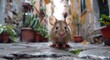 © Boomanoid - Small rodent mouse on cobblestone road