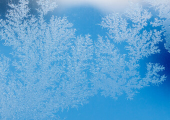 Wall Mural - Frost patterns on window glass. Cold winter background