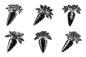 Wall Mural - carrot with leaves outline silhouette icon set on white background