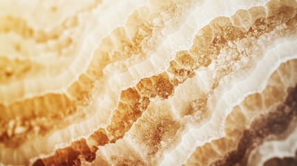 Poster - warm golden hour macro of intricate light limestone formation highlighting detailed textures and col