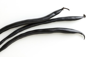 Aufkleber - Black bean sprouts fresh organic vegetables on a clean surface healthy eating concept