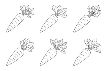 Wall Mural - carrot with leaves outline silhouette icon set on white background