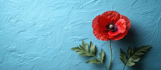 Poster - Blank card with red poppy flower on light blue background for holiday greeting card invitation mockup flat lay design template