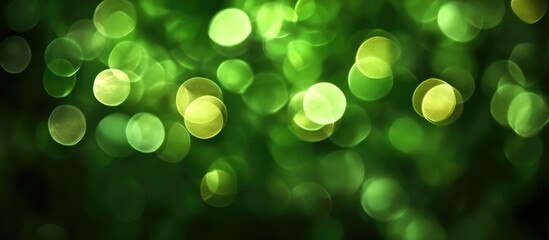 Aufkleber - Green bokeh texture with shimmering lights ideal for Christmas and festive background designs