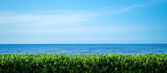 Poster - Tranquil view of vibrant green foliage against a serene blue sea and sky with soft clouds in a peaceful coastal setting.