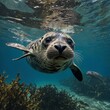 A seal diving playfully among kelp in calm waters.