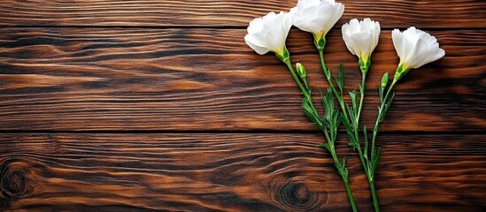 Poster - Fresh white carnations arranged on a dark wooden background showcasing texture and elegance in a top view composition.