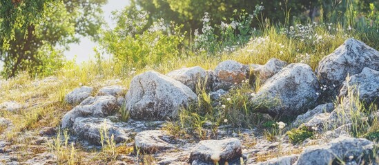 Poster - Serene landscape of volcanic rocks surrounded by blooming grass and wildflowers under sunlight in a tranquil natural setting