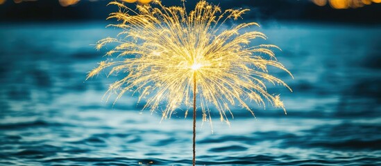 Poster - Closeup of vibrant fireworks sparkling above calm water creating a festive and celebratory atmosphere for artistic integration