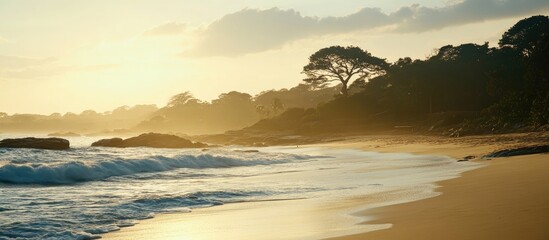Wall Mural - Coastal scenery at sunset showcasing serene waves and peaceful sandy beach with lush trees in the background