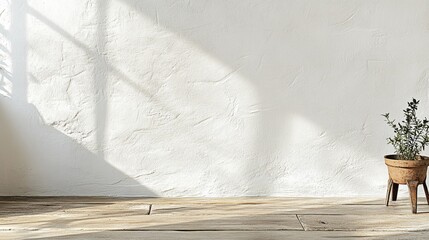 Poster - Bright minimalist interior with a textured white wall and a potted plant casting shadows on the wooden floor in soft natural light