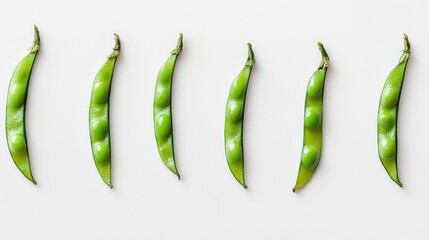 Poster - Fresh green broad beans arranged in a line on a clean white background showcasing their natural color and texture for culinary use.