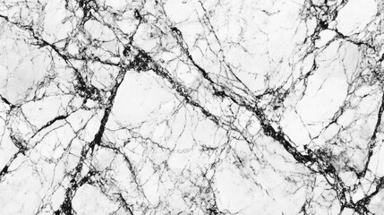 Poster - Black and white marble texture background with natural rustic finish and intricate veining patterns for elegant design applications