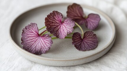 Poster - Purple Shiso Cress Leaves Artfully Arranged on a Minimalist Grey Plate for Culinary Presentation