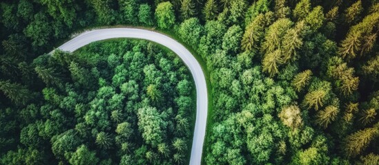 Poster - Aerial view of a winding rural road bordered by lush green trees creating a serene natural landscape scene.