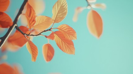 Aufkleber - Autumn foliage with red and orange leaves against a turquoise sky creating a vibrant seasonal background in a tranquil forest setting
