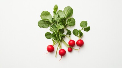 Poster - Freshly harvested radishes with green leaves against a clean white background ideal for food packaging or healthy eating concepts