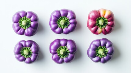 Poster - Vibrant assortment of purple and red bell peppers displayed on a clean white background showcasing their fresh and exotic colors.