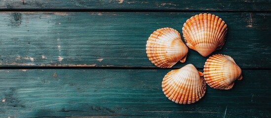 Aufkleber - Seashells arranged on rustic wooden surface highlighting their intricate patterns and natural beauty rich in coastal charm.