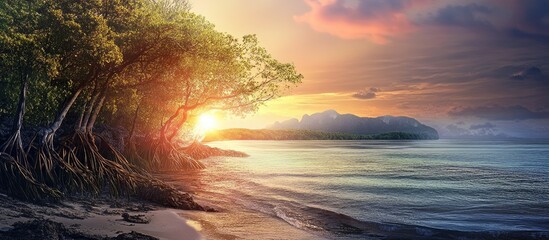Poster - Serene sunset over tranquil sea view with lush mangrove forest creating a picturesque natural landscape.