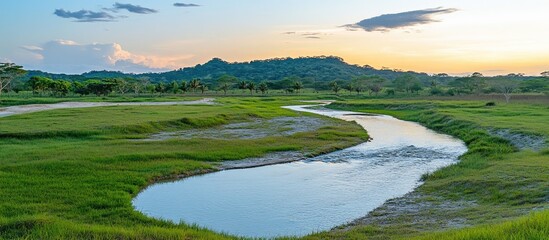 Poster - Scenic rice field landscape with flowing river and rolling hills under a beautiful sunset sky