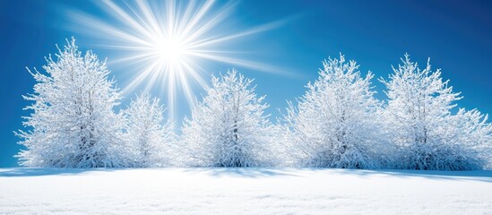 Poster - Snowy pine trees sparkling under bright sunlight against a clear blue winter sky creating a serene and picturesque landscape scene.