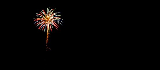 Poster - Vibrant fireworks illuminating the night sky with colorful bursts against a dark backdrop creating a festive atmosphere